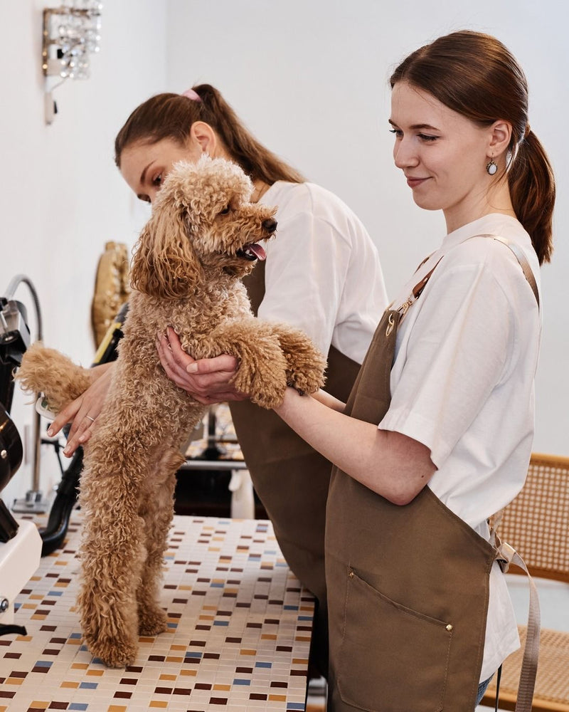 Grooming & Care